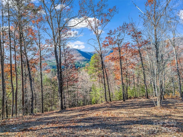 LOT30 Deep Gap Farm Rd E, Mill Spring, NC 28756 - photo 15