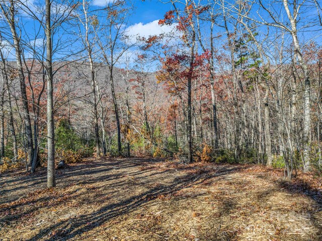 LOT30 Deep Gap Farm Rd E, Mill Spring, NC 28756 - photo 16