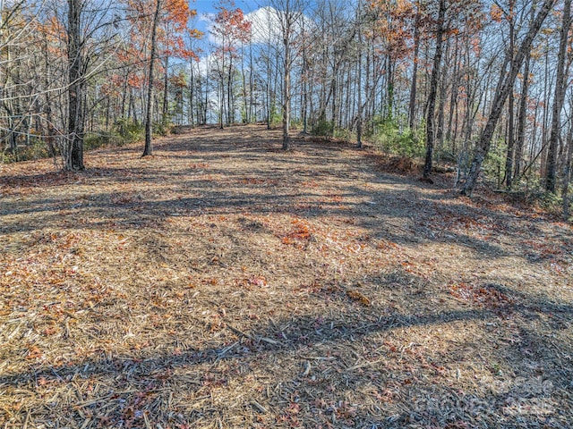 LOT30 Deep Gap Farm Rd E, Mill Spring, NC 28756 - photo 17