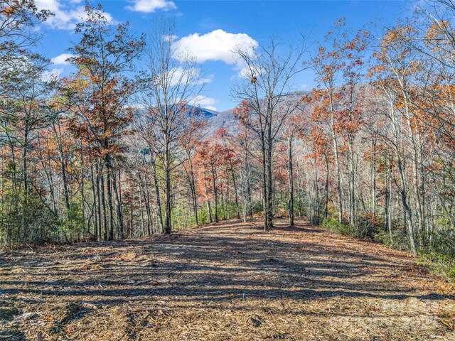 LOT30 Deep Gap Farm Rd E, Mill Spring, NC 28756 - photo 18