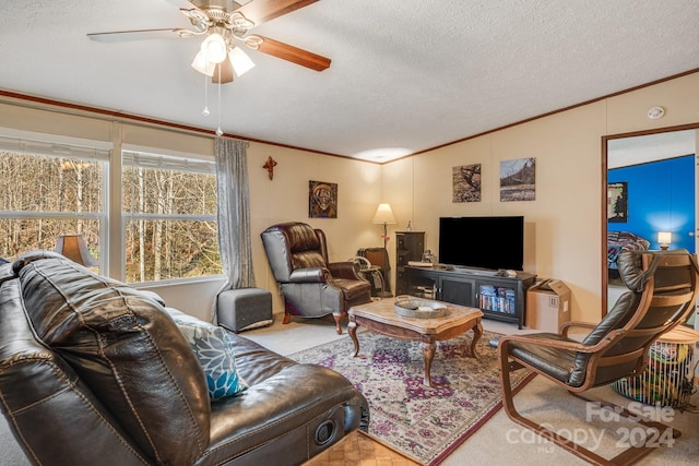 carpeted living room featuring ceiling fan, ornamental molding, and a textured ceiling