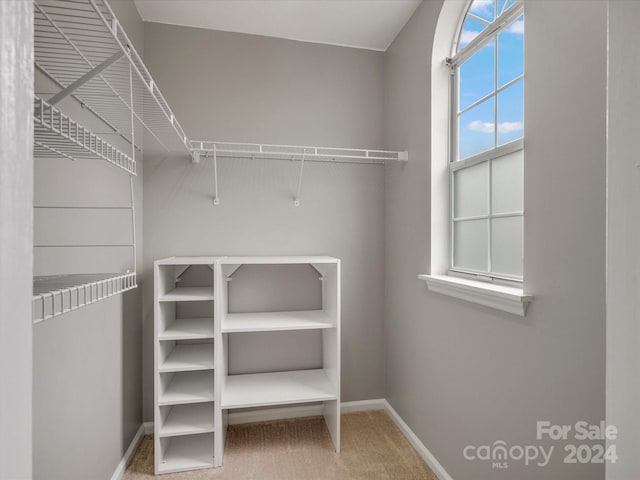 walk in closet with carpet floors