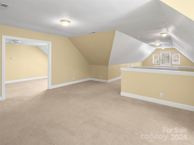 additional living space featuring a textured ceiling, light carpet, and vaulted ceiling