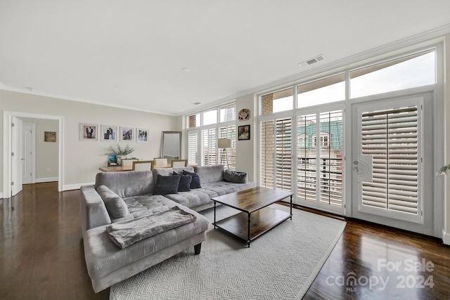 living room featuring crown molding and dark wood-type flooring