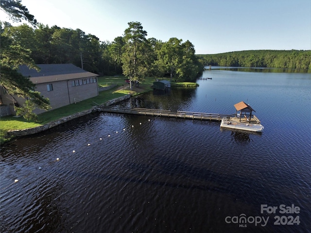 water view featuring a boat dock