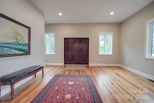 entryway featuring light hardwood / wood-style flooring and a wealth of natural light