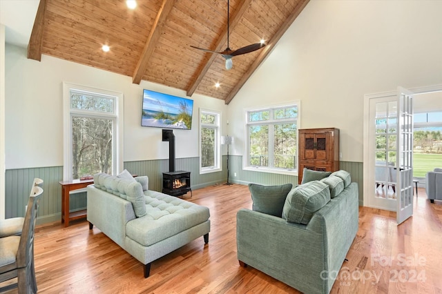 living room featuring a wood stove, a wealth of natural light, and light hardwood / wood-style flooring