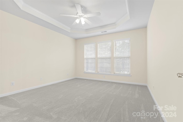 spare room featuring a tray ceiling, crown molding, and light colored carpet