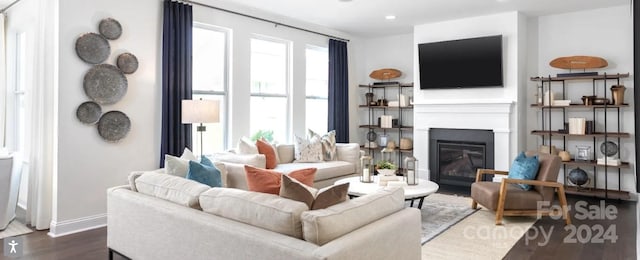 living room featuring dark hardwood / wood-style flooring