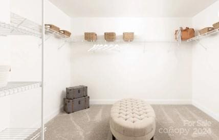 walk in closet featuring light carpet