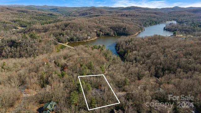 drone / aerial view featuring a water and mountain view