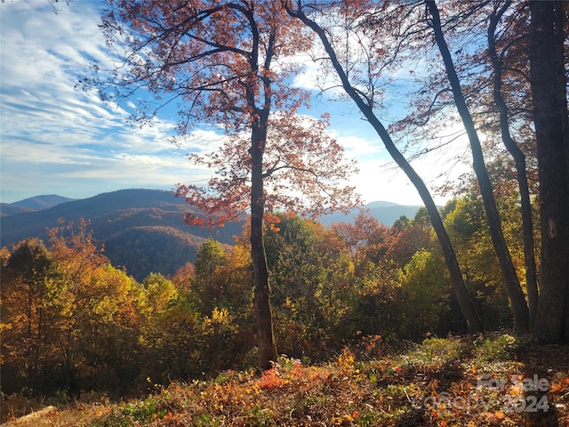 Listing photo 3 for 99999 High Cliffs Trl Lot 5, Black Mountain NC 28711