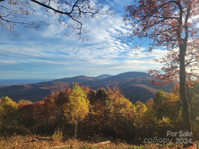 99999 High Cliffs Trl Lot 5, Black Mountain NC, 28711 land for sale