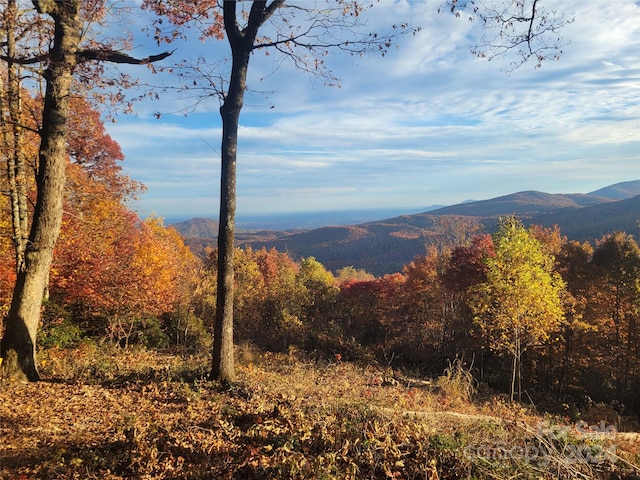 Listing photo 2 for 99999 High Cliffs Trl Lot 5, Black Mountain NC 28711