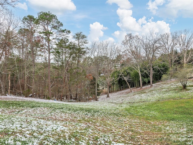 view of nature featuring a view of trees