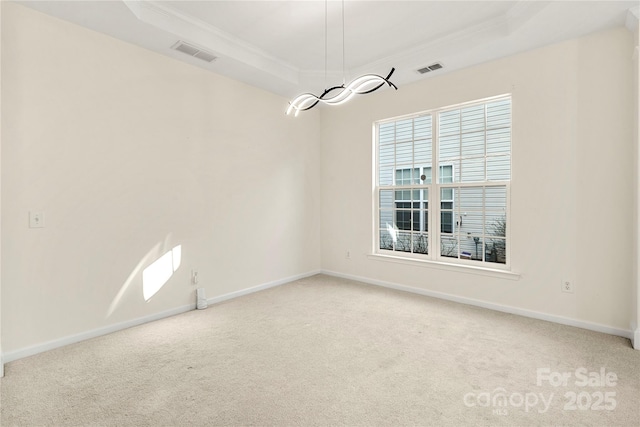 unfurnished room with a raised ceiling and light carpet