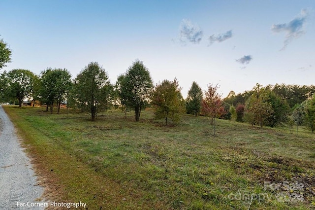 view of local wilderness featuring a rural view