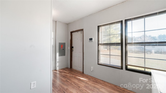 hall featuring hardwood / wood-style floors and electric panel