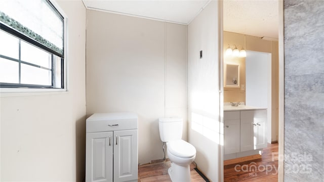 bathroom with wood-type flooring, vanity, and toilet