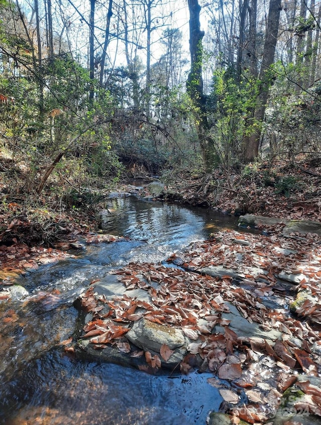 view of nature