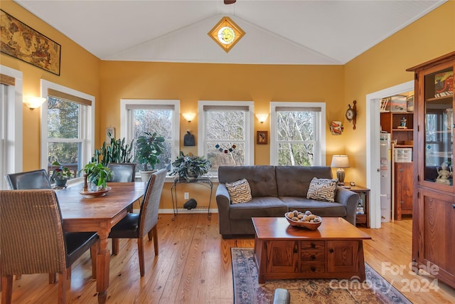 living room featuring light hardwood / wood-style floors, a wealth of natural light, and vaulted ceiling