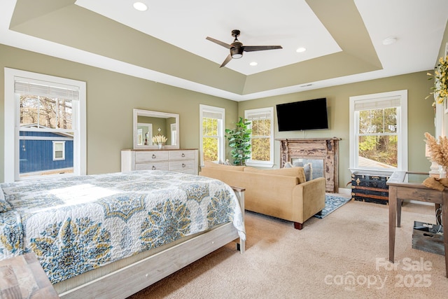 bedroom with a raised ceiling and multiple windows