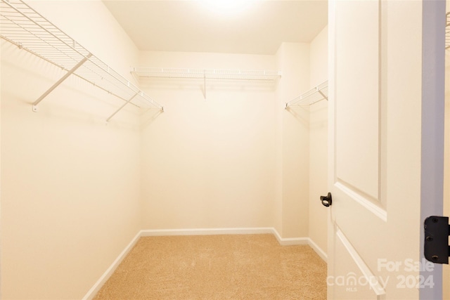 spacious closet with light carpet