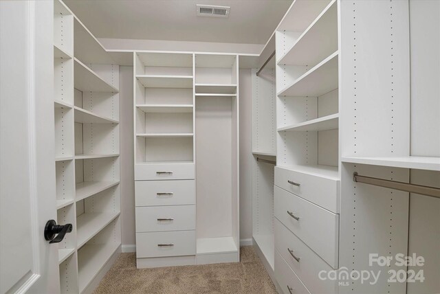 spacious closet with light colored carpet