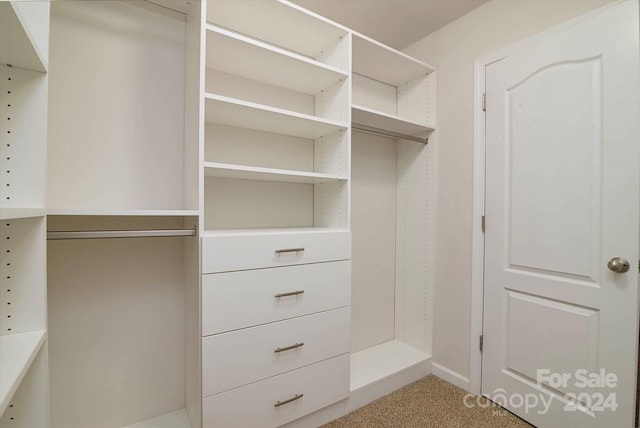 spacious closet with carpet floors