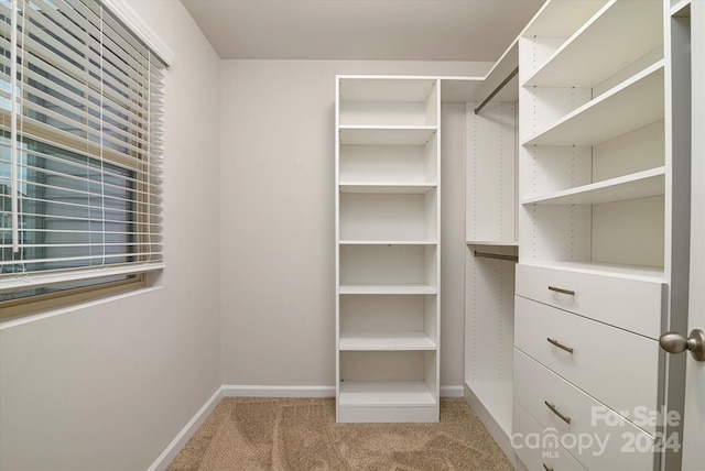 spacious closet with light colored carpet