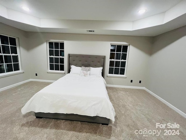 bedroom with a raised ceiling and carpet