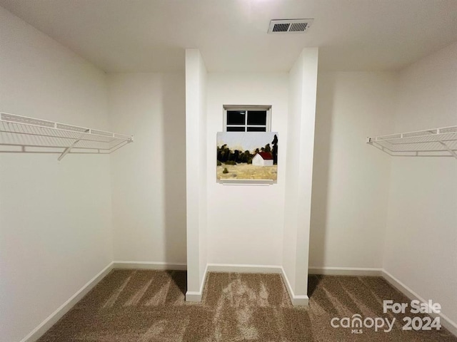 walk in closet featuring carpet