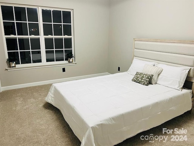 bedroom featuring carpet floors