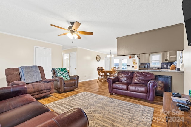 living room with ceiling fan with notable chandelier, a textured ceiling, light wood-type flooring, and ornamental molding