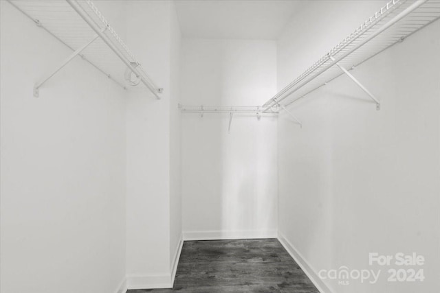 walk in closet featuring dark hardwood / wood-style flooring