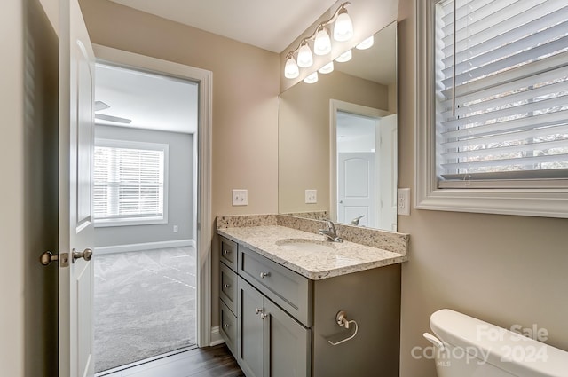 bathroom with vanity and toilet