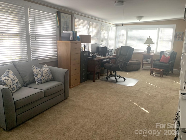 carpeted home office with plenty of natural light