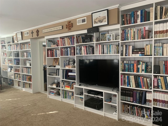 living area featuring carpet