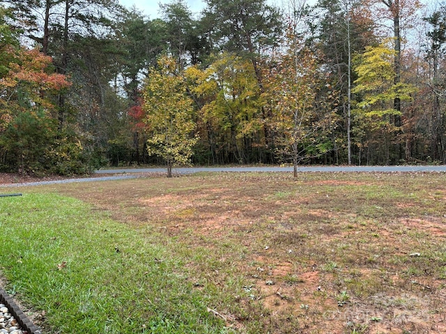 369 Pinecrest Cir, Troy, NC 27371 - view of yard featuring a view of trees