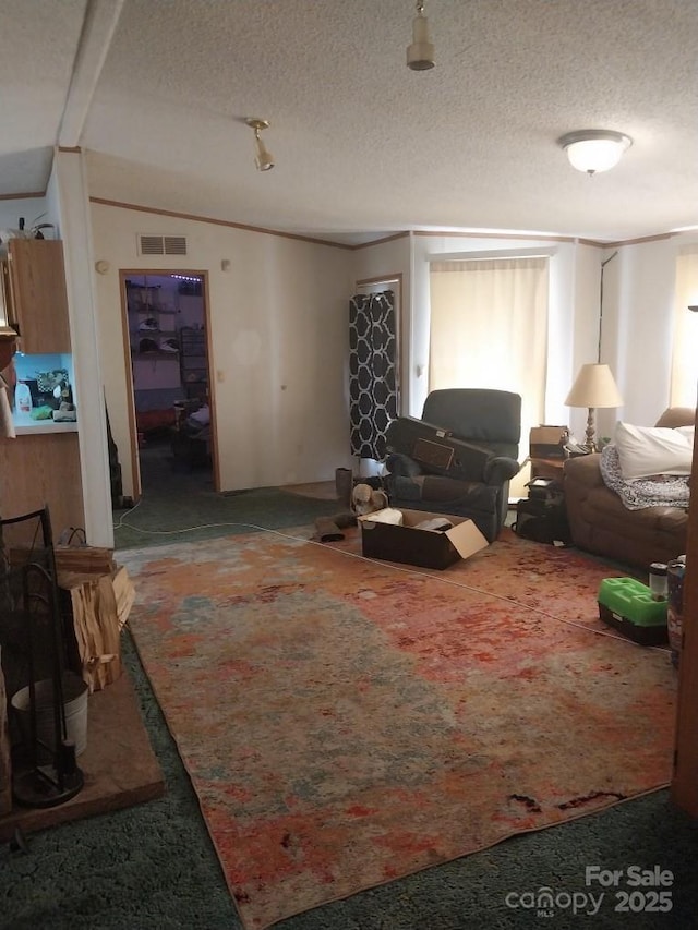 carpeted living room with vaulted ceiling and a textured ceiling