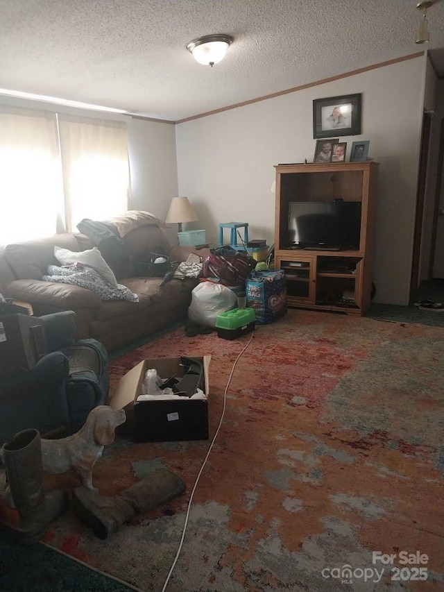 living room with a textured ceiling