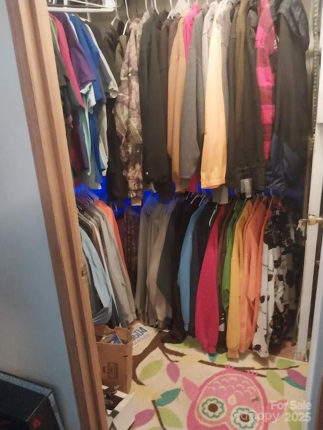 view of walk in closet