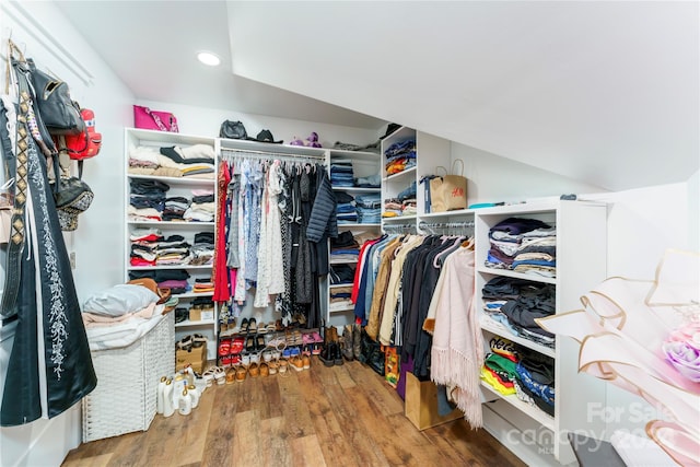 walk in closet featuring hardwood / wood-style flooring