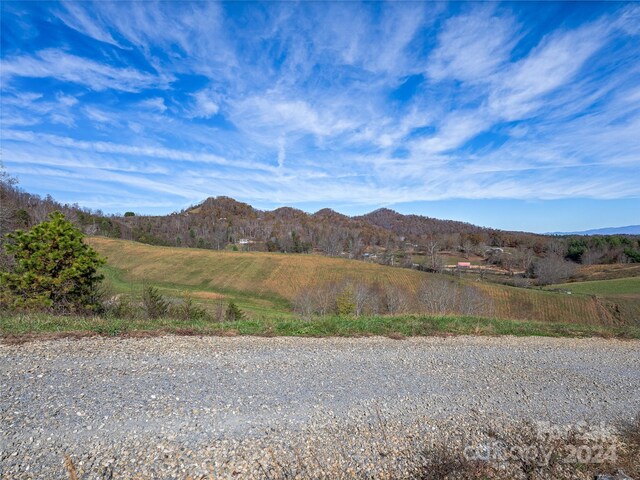 435 N Turkey Creek Rd, Leicester, NC 28748 - photo 4