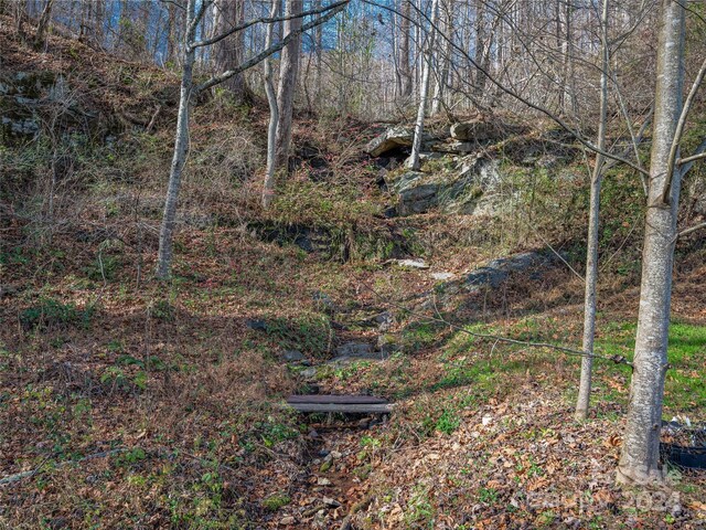 435 N Turkey Creek Rd, Leicester, NC 28748 - photo 6