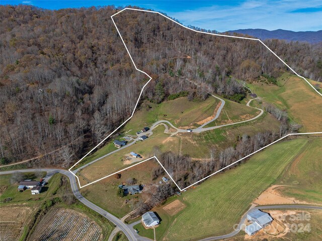 435 N Turkey Creek Rd, Leicester, NC 28748 - photo 9