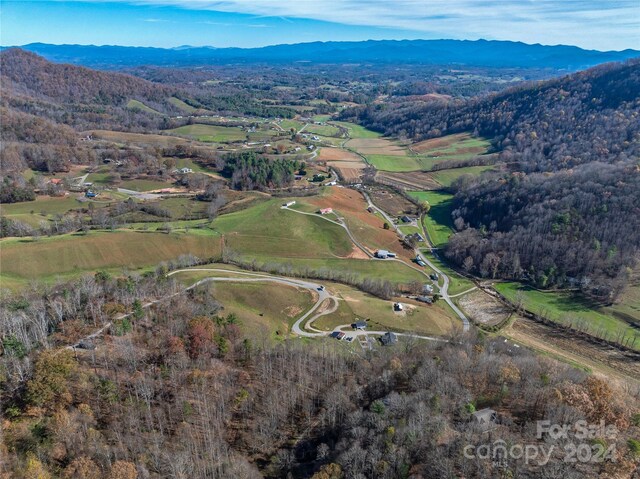 435 N Turkey Creek Rd, Leicester, NC 28748 - photo 10