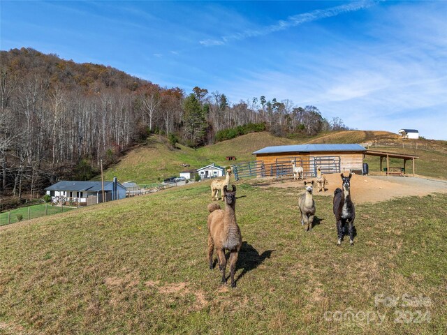 435 N Turkey Creek Rd, Leicester, NC 28748 - photo 12