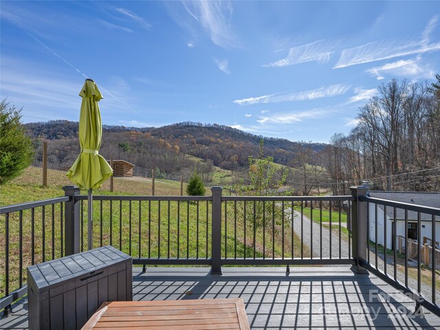 435 N Turkey Creek Rd, Leicester, NC 28748 - photo 39