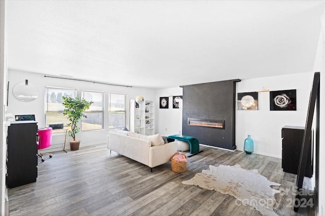 living room featuring a fireplace and hardwood / wood-style flooring